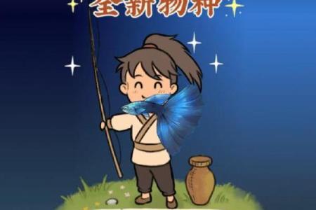 探寻土命招财之道：颜色与财富的奥秘