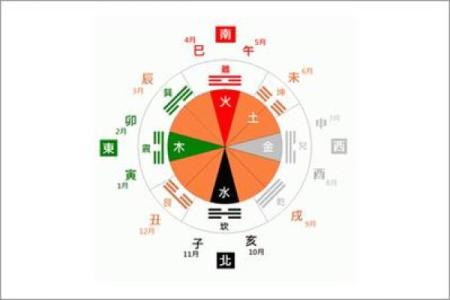 寅卯子巳命格解析:解锁五行之谜,探寻命运之路