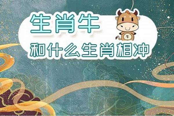 探寻男属牛的饮食命理：食物与运势的奇妙关系
