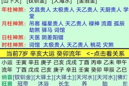辛亥日生人与五行命理,揭秘人生的运势与命格!