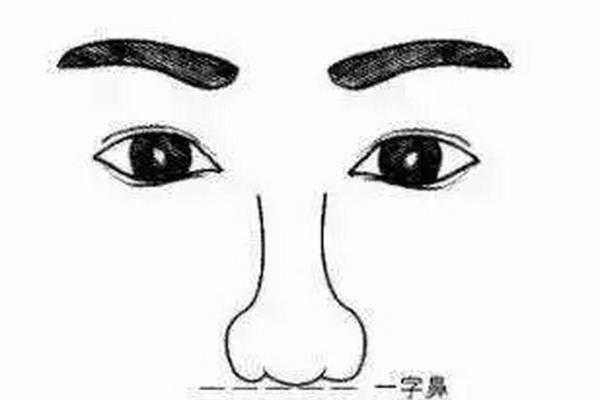 相学与命理学：窥探人生奥秘的两扇窗户