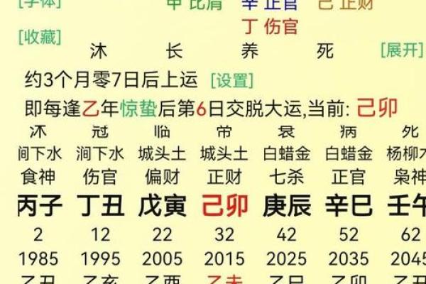 探索壬寅年命理：五行之中的深邃启示与个人发展之道