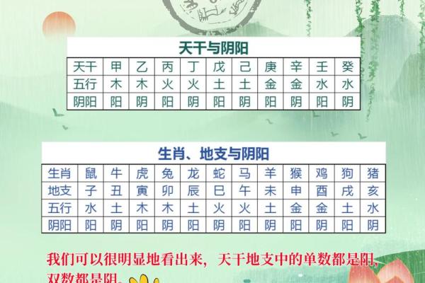 五行水命的独特魅力与生活智慧