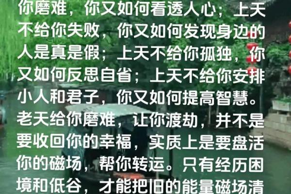 天生命运：如何接受命运的安排与改变自己的人生