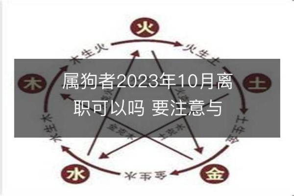 探秘属狗的五行命理：狗年出生者的命运与性格解析