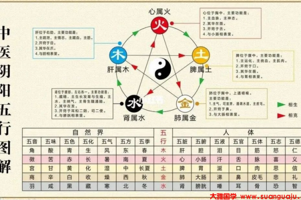 土命与木命的奥秘：探寻五行之间的相生相克