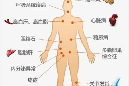 探索养蛋鸡行业的五行密码:如何优化鸡场管理与健康提升