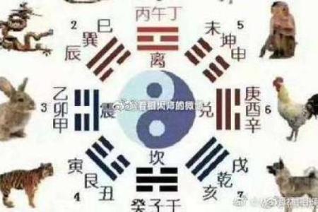 探索命理:男命年柱十干禄的深层含义与影响