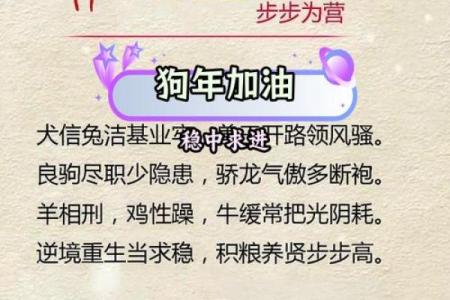 探秘属狗的五行命理:狗年出生者的命运与性格解析