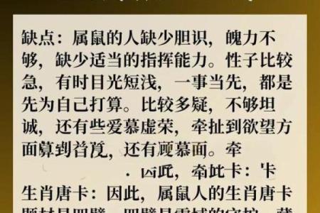 五行木命者的车牌选择：与命理相辅相成的智慧之选