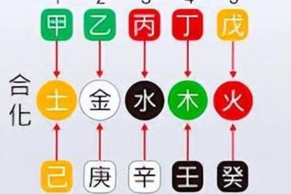阴命与阳命：解读命理中的神秘力量与人生轨迹