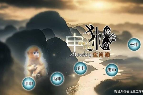 水命土旺的人：如何发挥天赋成就辉煌人生