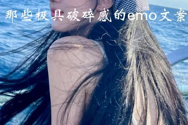 探寻《我拼了命想念你》背后的情感共鸣与深意