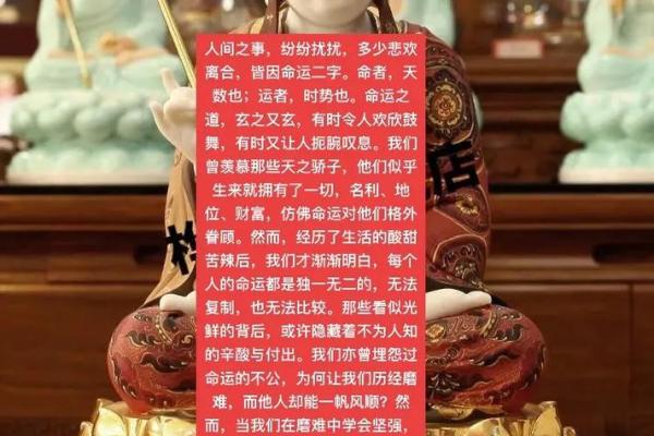 探索阴历26岁属鼠人士的命运之道，揭示最佳人生选择！