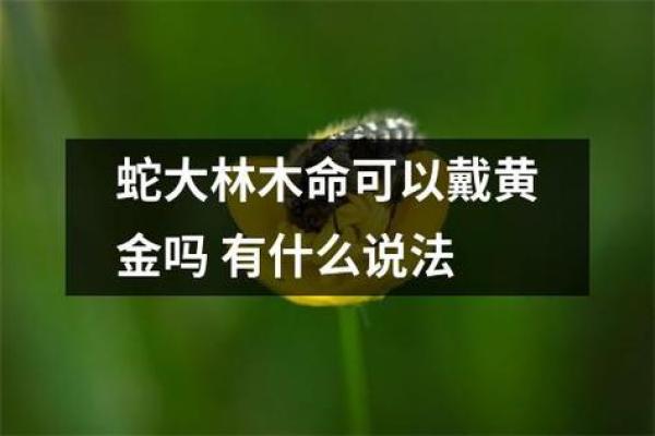 探秘“土蛇大林木之命”：命理背后的神秘与智慧
