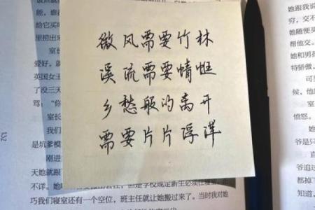 长流水命与干娘的深厚缘分解析:揭秘命运背后的秘密与启示
