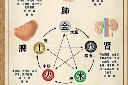 五行相生相克中的土命人:如何找到自身的力量与平衡