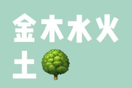 五行之命:探寻命运与生活的深层联系