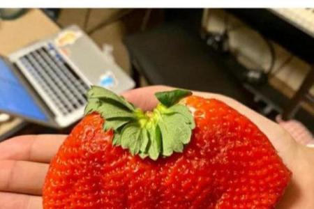 网友们的命也是命:那些搞笑而值得深思的生活瞬间