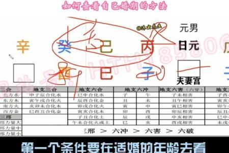 探秘四柱八字：命运的密码与人生的启示