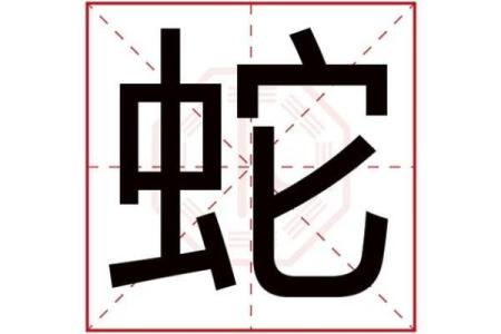 探索丁巳日干的五行命理：火与蛇的交织之美