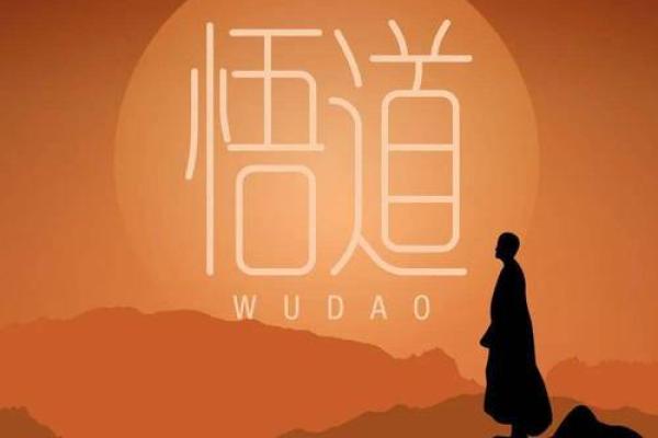 探寻“再发之命”的深刻含义与生活哲学
