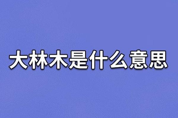 探寻木命之道：大林木男命的命运与人生智慧