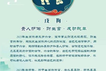 探秘十二生肖:哪个命最长、谁能百岁常青?