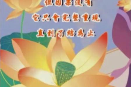 探寻命格之道:忌用神与人生轨迹的微妙关系