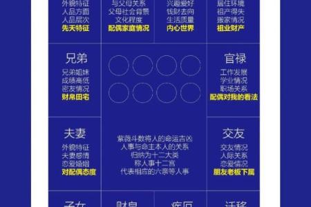唯命是命:探究服从与自我价值的深层含义