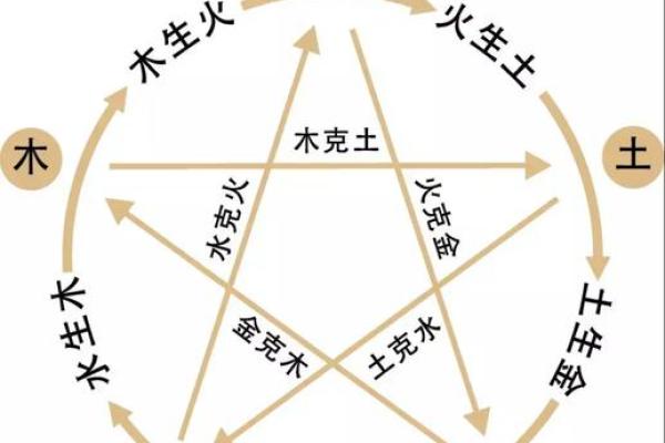 兔年女孩命格分析：如何选择最有利的命理特征