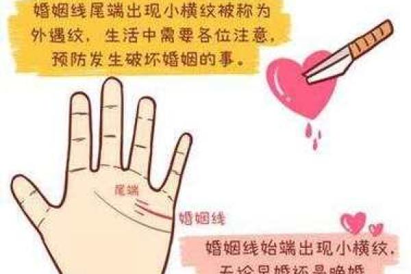 算命木命与婚姻幸福的最佳搭档，揭开命理的神秘面纱