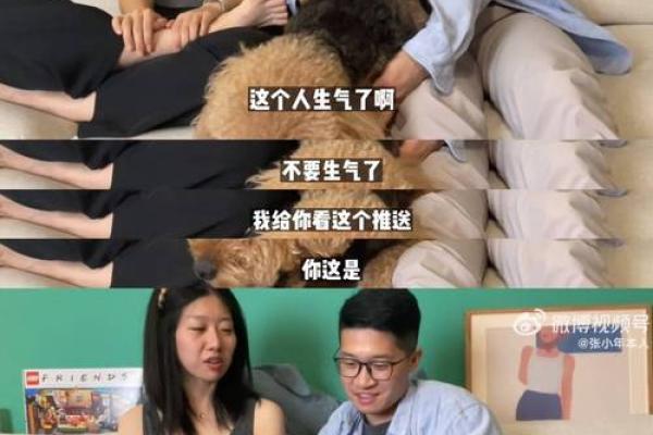 小年出生的人命运解析与财富运势探讨