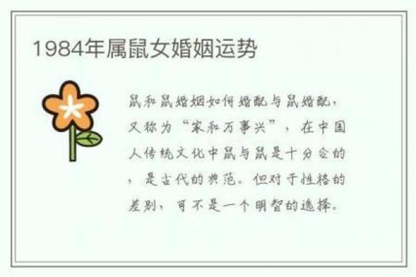 探寻木命与土命的最佳搭配，解密命理中的和谐之道