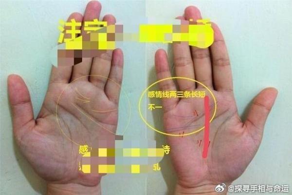 掌纹深且乱，命运指引的不凡人生解析