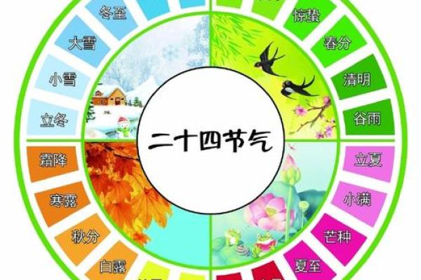探索辛未、辛卯、癸卯、癸丑男命的命理奥秘与人生启示