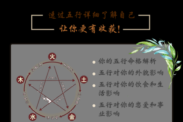 五行木多水少的命格解析与生活智慧