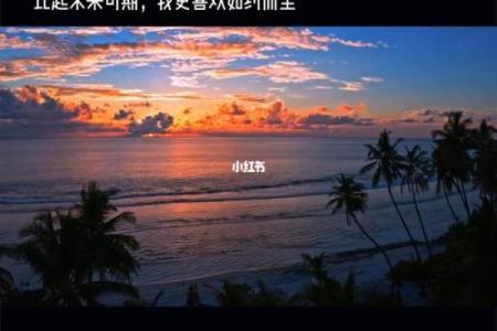 正月二十出生女孩命运解析:温柔自信,未来可期!