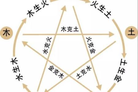 兔年女孩命格分析：如何选择最有利的命理特征