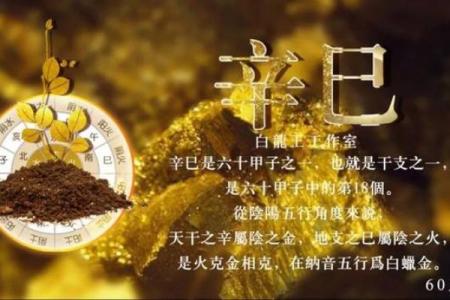 探寻命理深意:男不娶什么命,女不嫁什么命?揭秘婚恋中的命运玄机!