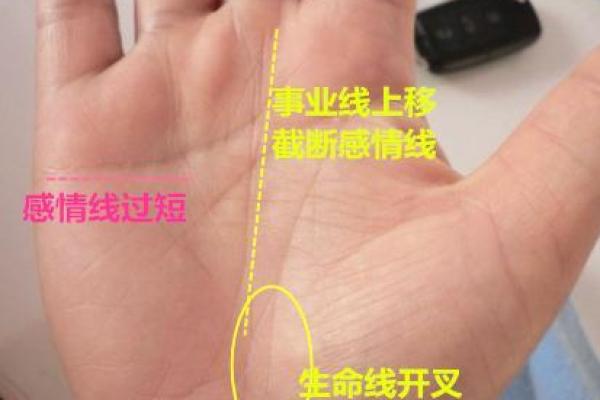 桃花命与太太命：你知道哪种命更适合你吗？