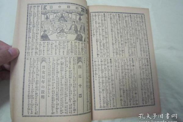 探索男孩九个螺的命理特征与生活智慧