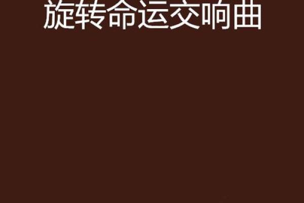 五十零后的人：命运与生活的交响曲
