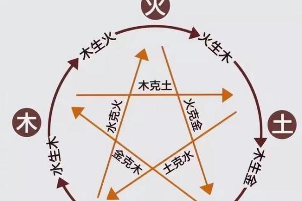 探索属虎1974的命运之道——解密五行与性格的融合