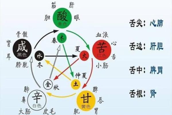 五行与命理的深度解析：探索人生的另一种可能性