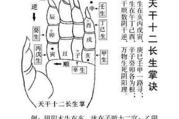 五行相克的奥秘：命理中的对立与平衡