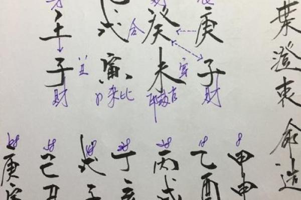 探寻热命人与寒命人婚姻的深层次关系与和谐之道