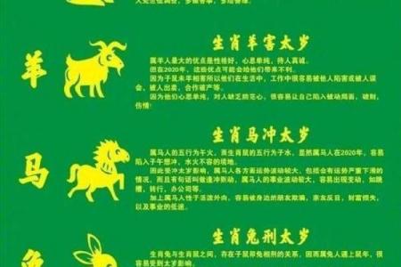 探索八四年属鼠者的命运与性格特点:命运的多样化分析