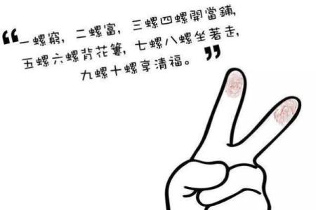 探索男孩九个螺的命理特征与生活智慧