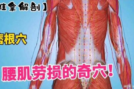 为什么说腰是男人的命:从健康到魅力的全方位解读